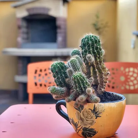 Apartment La Liberta!