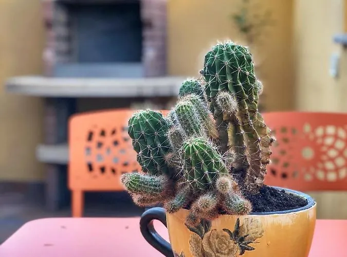 アパート La Liberta!